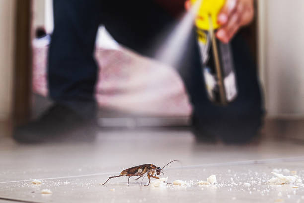 Best Best Pest Control Companies  in Kensington, NY