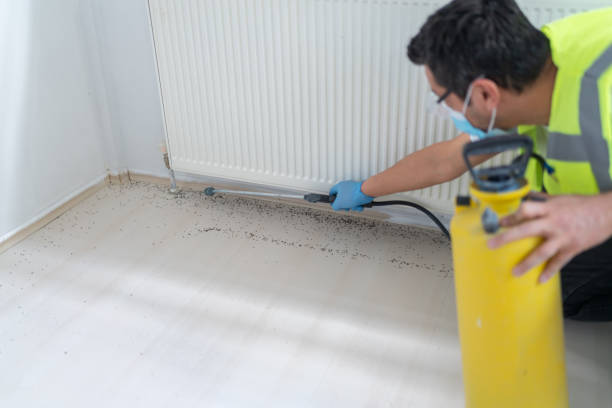 Professional Pest Control in Kensington, NY